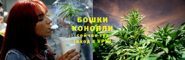 spice Абинск