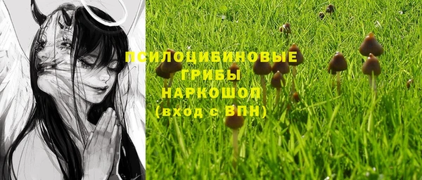 Альфа ПВП Алзамай