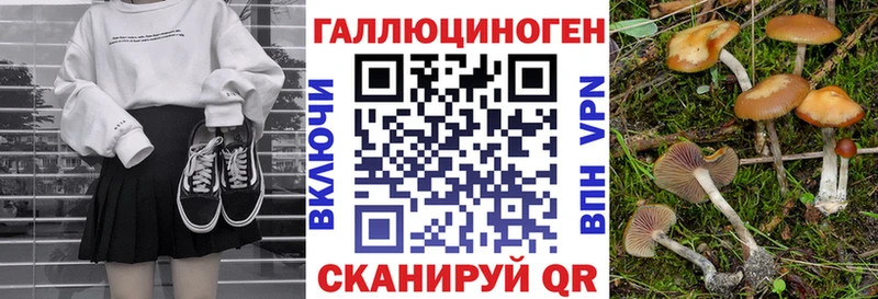 Галлюциногенные грибы GOLDEN TEACHER  Лабинск 
