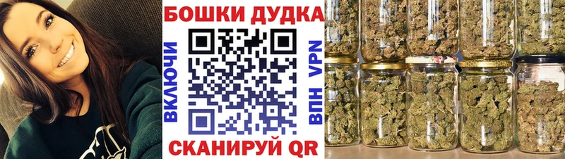Конопля сатива  Лабинск 